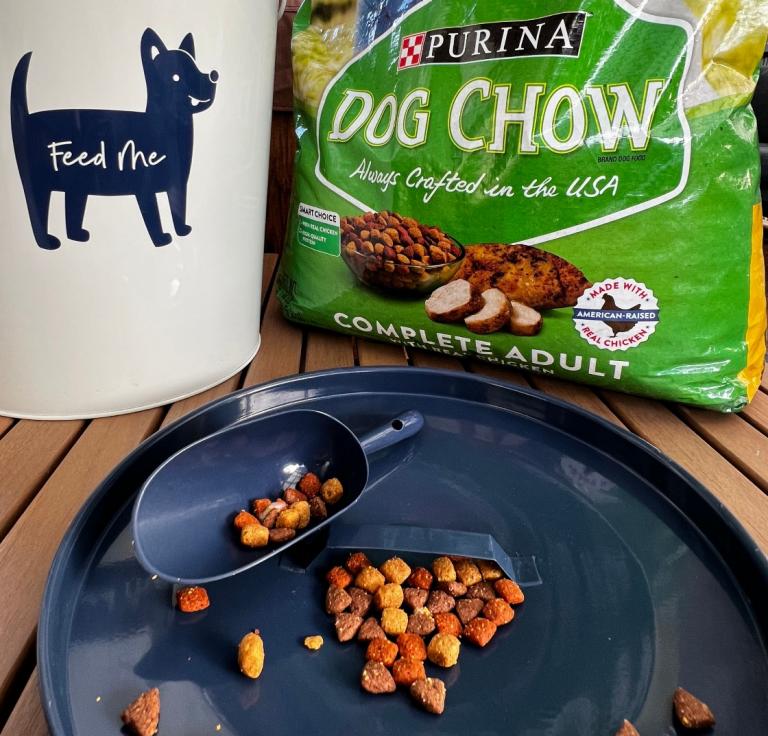 Purina puppy best sale chow nz